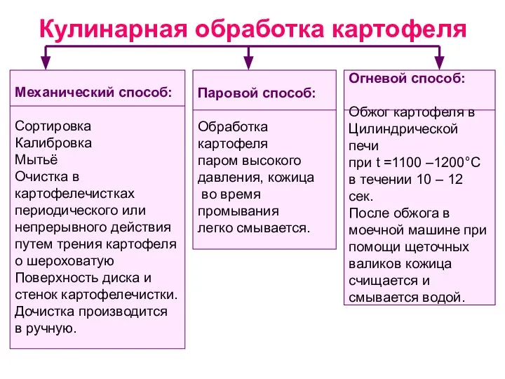 Кулинарная обработка картофеля Огневой способ: Обжог картофеля в Цилиндрической печи при