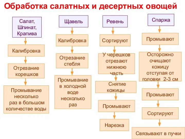 Обработка салатных и десертных овощей Салат, Шпинат, Крапива Калибровка Отрезание корешков