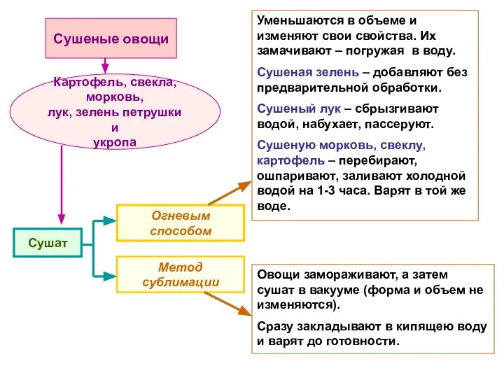 Сушеные овощи Картофель, свекла, морковь, лук, зелень петрушки и укропа Сушат