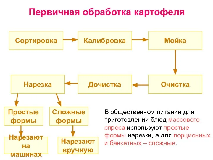 Первичная обработка картофеля Сортировка Нарезка Очистка Мойка Калибровка Дочистка Нарезают на