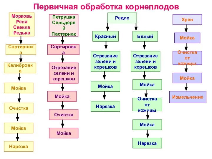 Первичная обработка корнеплодов Морковь Репа Свекла Редька Сортировка Калибровка Мойка Очистка