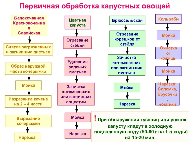 Первичная обработка капустных овощей Белокочанная Краснокочанная Савойская Снятие загрязненных и загнивших