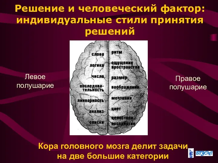 Решение и человеческий фактор: индивидуальные стили принятия решений Кора головного мозга