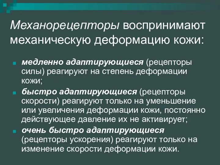 Механорецепторы воспринимают механическую деформацию кожи: медленно адаптирующиеся (рецепторы силы) реагируют на