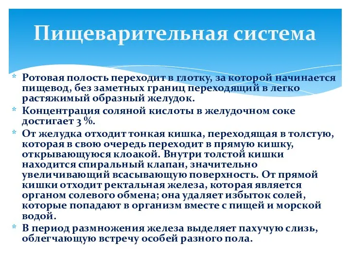 Ротовая полость переходит в глотку, за которой начинается пищевод, без заметных