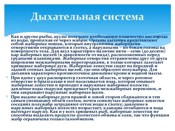 Как и другие рыбы, акулы получают необходимое количество кислорода из воды,