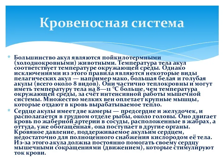 Большинство акул являются пойкилотермными (холоднокровными) животными. Температура тела акул соответствует температуре