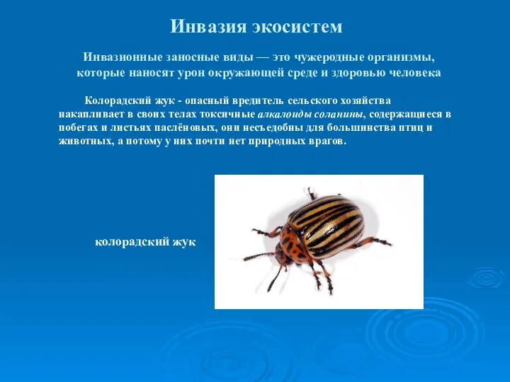 Инвазия экосистем Инвазионные заносные виды — это чужеродные организмы, которые наносят