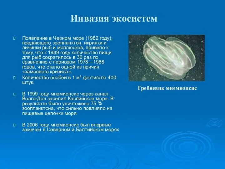 Инвазия экосистем Появление в Черном море (1982 году), поедающего зоопланктон, икринки