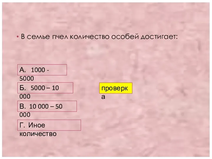 В семье пчел количество особей достигает: А. 1000 - 5000 Б.