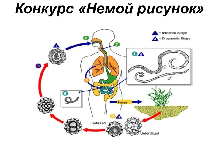 Конкурс «Немой рисунок»