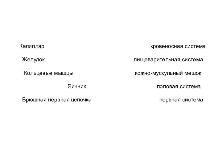 Капилляр кровеносная система Желудок пищеварительная система Кольцевые мышцы кожно-мускульный мешок Яичник