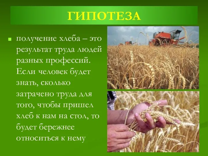 ГИПОТЕЗА получение хлеба – это результат труда людей разных профессий. Если