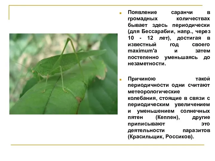 Появление саранчи в громадных количествах бывает здесь периодически (для Бессарабии, напр.,