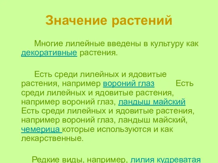 Значение растений Многие лилейные введены в культуру как декоративные растения. Есть