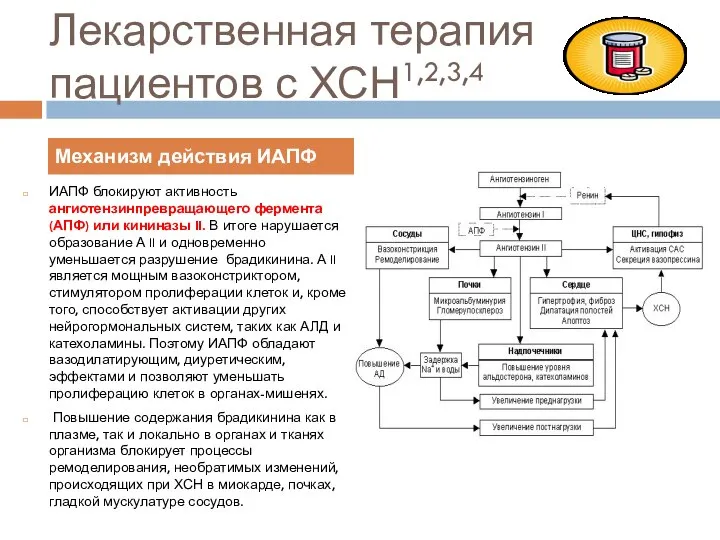 Лекарственная терапия пациентов с ХСН1,2,3,4 ИАПФ блокируют активность ангиотензинпревращающего фермента (АПФ)