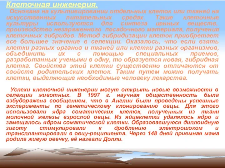 Клеточная инженерия. Основана на культивировании отдельных клеток или тканей на искусственных