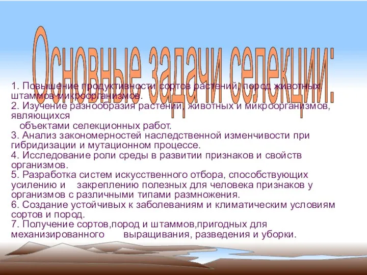 Основные задачи селекции: 1. Повышение продуктивности сортов растений, пород животных, штаммов