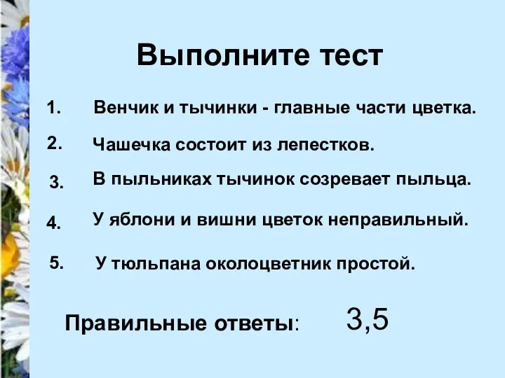 Выполните тест 1. 2. 3. 4. 5. Венчик и тычинки -