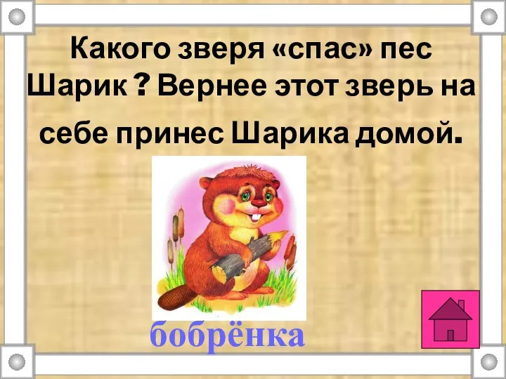 Какого зверя «спас» пес Шарик ? Вернее этот зверь на себе принес Шарика домой. бобрёнка