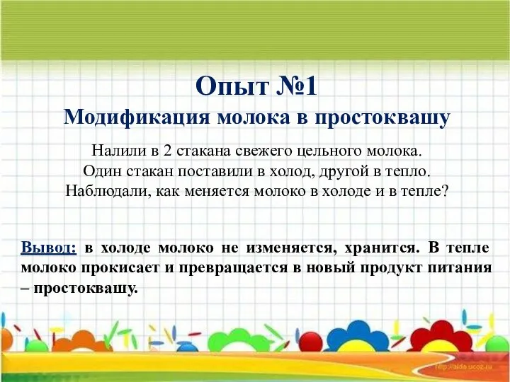 Опыт №1 Модификация молока в простоквашу Налили в 2 стакана свежего