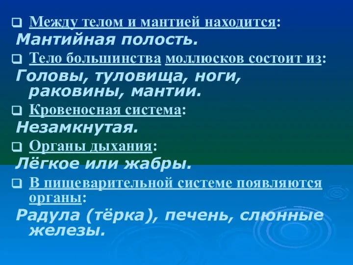 Между телом и мантией находится: Мантийная полость. Тело большинства моллюсков состоит