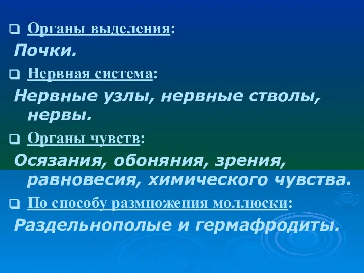 Органы выделения: Почки. Нервная система: Нервные узлы, нервные стволы, нервы. Органы