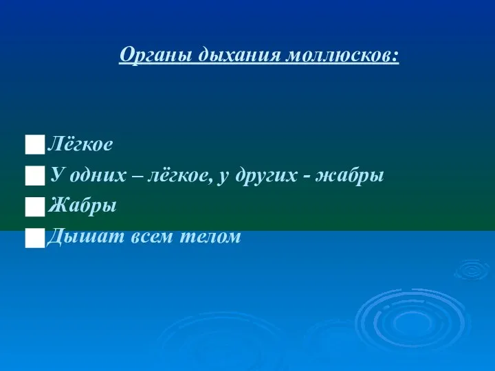 Органы дыхания моллюсков: Лёгкое У одних – лёгкое, у других - жабры Жабры Дышат всем телом