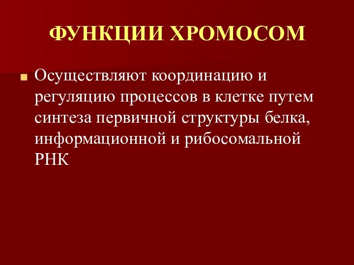 ФУНКЦИИ ХРОМОСОМ Осуществляют координацию и регуляцию процессов в клетке путем синтеза