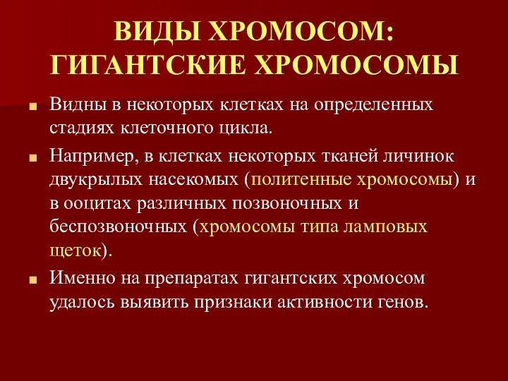 ВИДЫ ХРОМОСОМ: ГИГАНТСКИЕ ХРОМОСОМЫ Видны в некоторых клетках на определенных стадиях