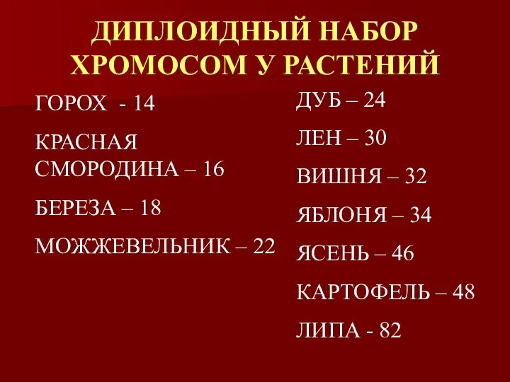 ДИПЛОИДНЫЙ НАБОР ХРОМОСОМ У РАСТЕНИЙ ГОРОХ - 14 КРАСНАЯ СМОРОДИНА –