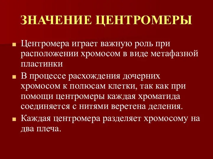 ЗНАЧЕНИЕ ЦЕНТРОМЕРЫ Центромера играет важную роль при расположении хромосом в виде