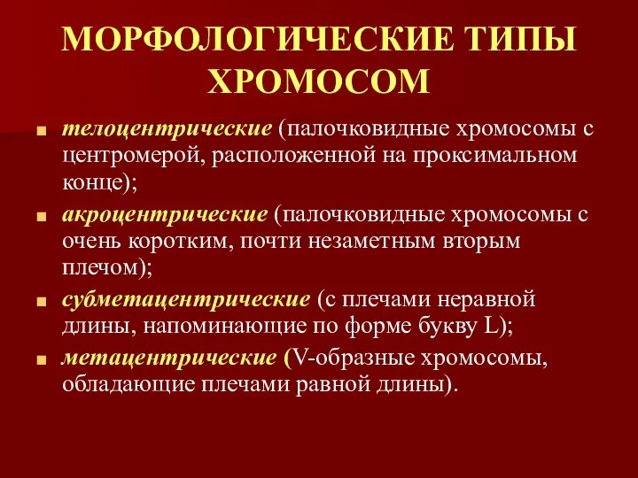 МОРФОЛОГИЧЕСКИЕ ТИПЫ ХРОМОСОМ телоцентрические (палочковидные хромосомы с центромерой, расположенной на проксимальном