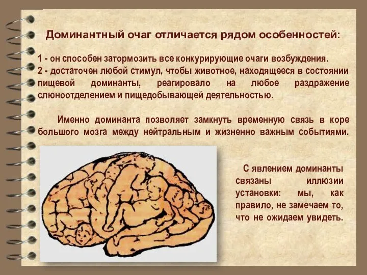 Доминантный очаг отличается рядом особенностей: 1 - он способен затормозить все