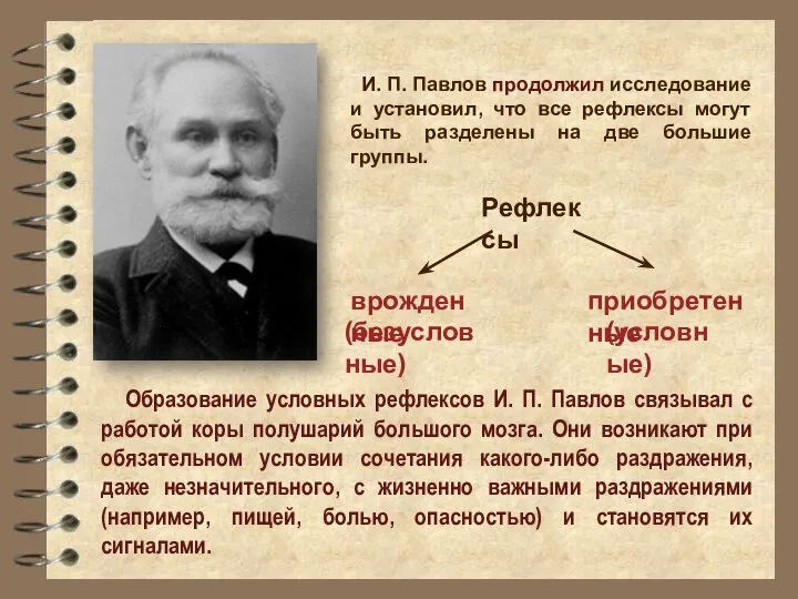 И. П. Павлов продолжил исследование и установил, что все рефлексы могут