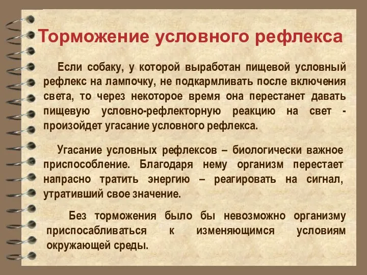 Торможение условного рефлекса Если собаку, у которой выработан пищевой условный рефлекс