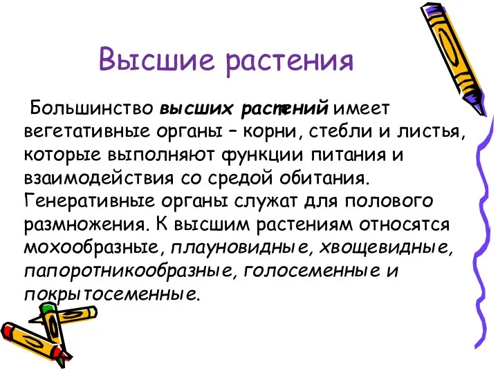 Высшие растения Большинство высших растений имеет вегетативные органы – корни, стебли