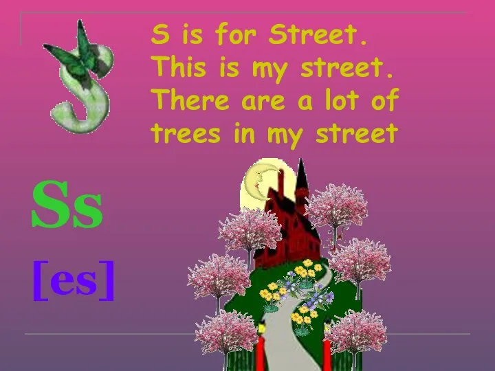 S is for Street. This is my street. There are a