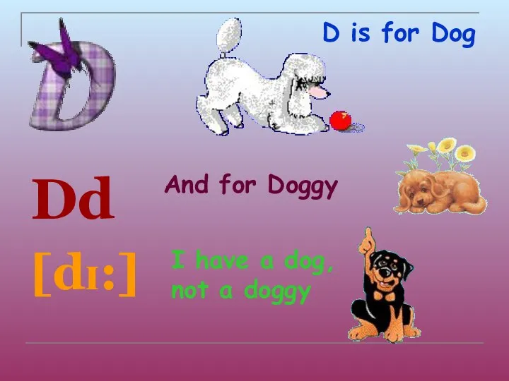 D is for Dog Dd [dɪ:] And for Doggy I have a dog, not a doggy