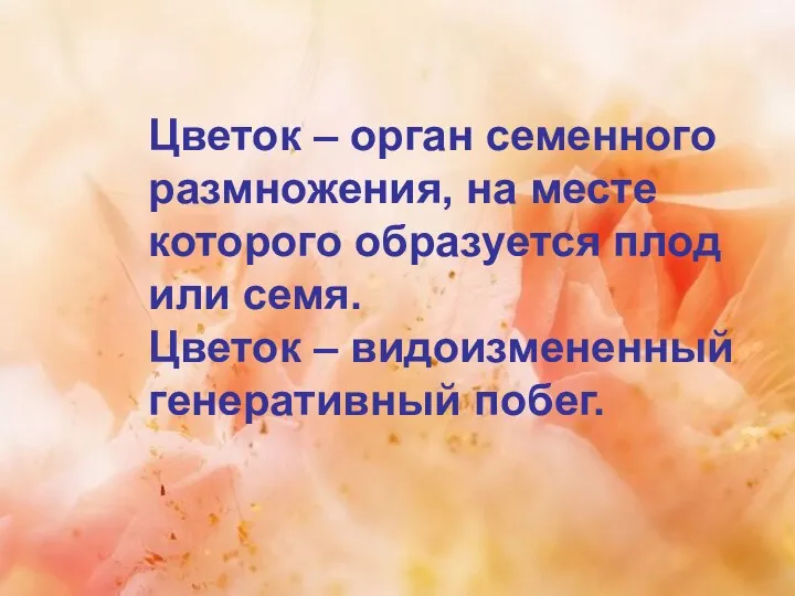 Цветок – орган семенного размножения, на месте которого образуется плод или