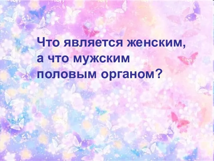 Что является женским, а что мужским половым органом?