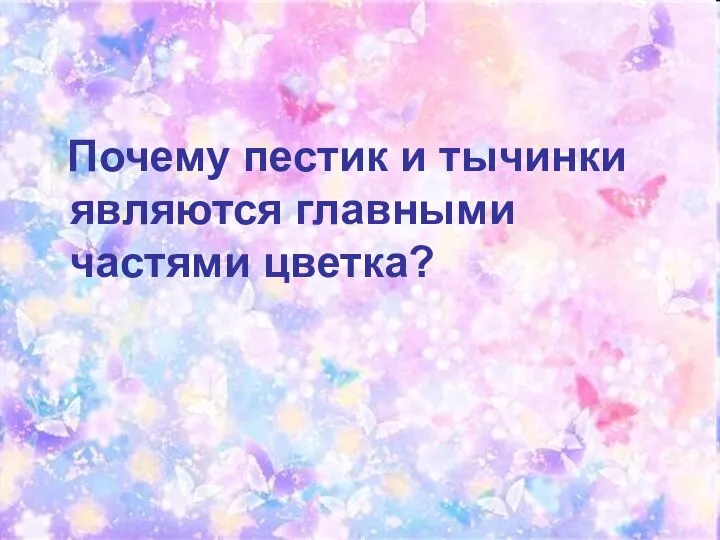 Почему пестик и тычинки являются главными частями цветка?