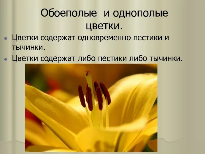 Обоеполые и однополые цветки. Цветки содержат одновременно пестики и тычинки. Цветки содержат либо пестики либо тычинки.