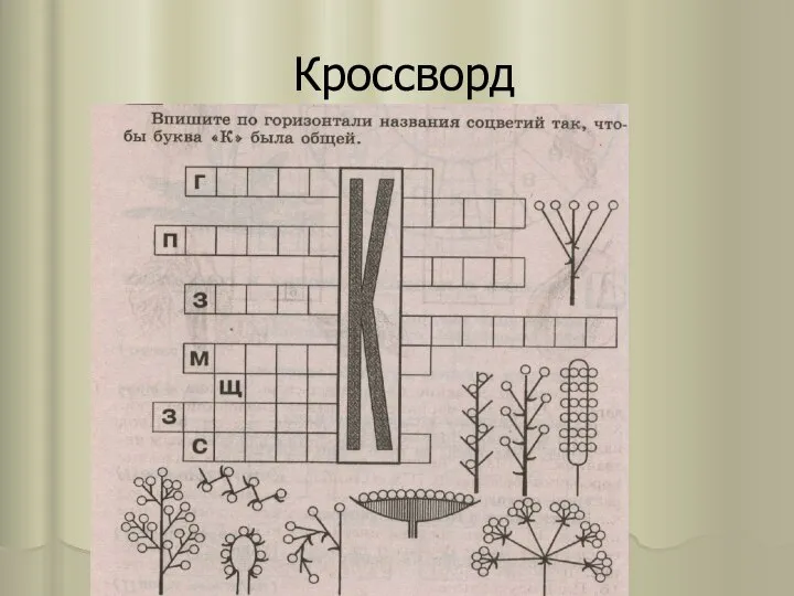 Кроссворд