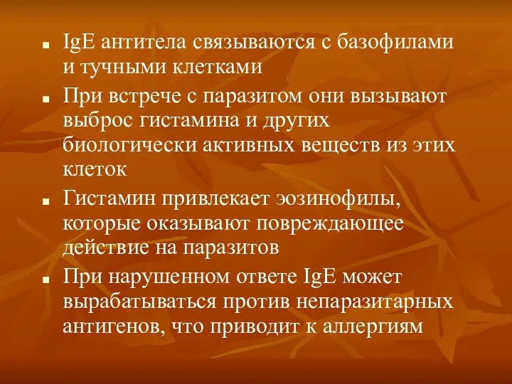 IgE антитела связываются с базофилами и тучными клетками При встрече с