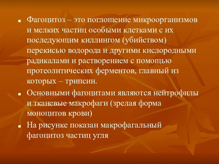 Фагоцитоз – это поглощение микроорганизмов и мелких частиц особыми клетками с