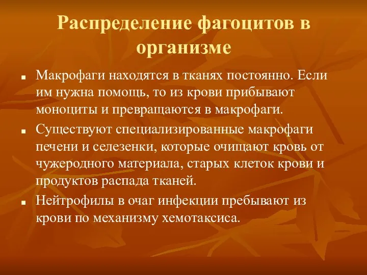 Распределение фагоцитов в организме Макрофаги находятся в тканях постоянно. Если им