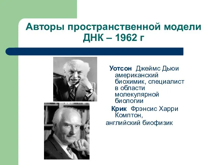 Авторы пространственной модели ДНК – 1962 г Уотсон Джеймс Дьюи американский