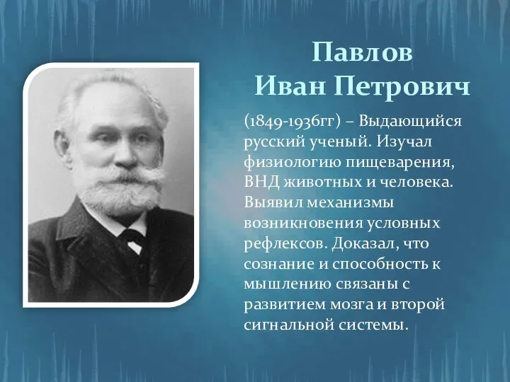 Павлов Иван Петрович (1849-1936гг) – Выдающийся русский ученый. Изучал физиологию пищеварения,