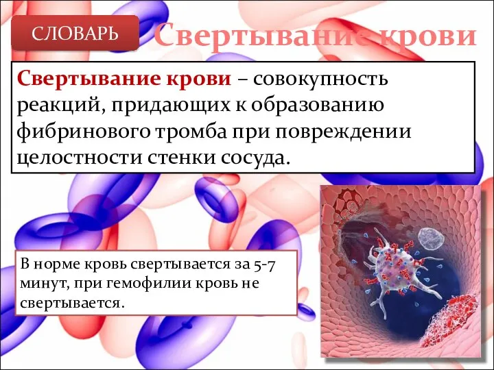 Свертывание крови Свертывание крови – совокупность реакций, придающих к образованию фибринового